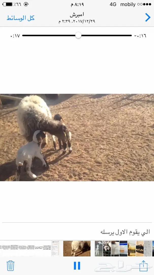 شاه متاومه  (image 2)