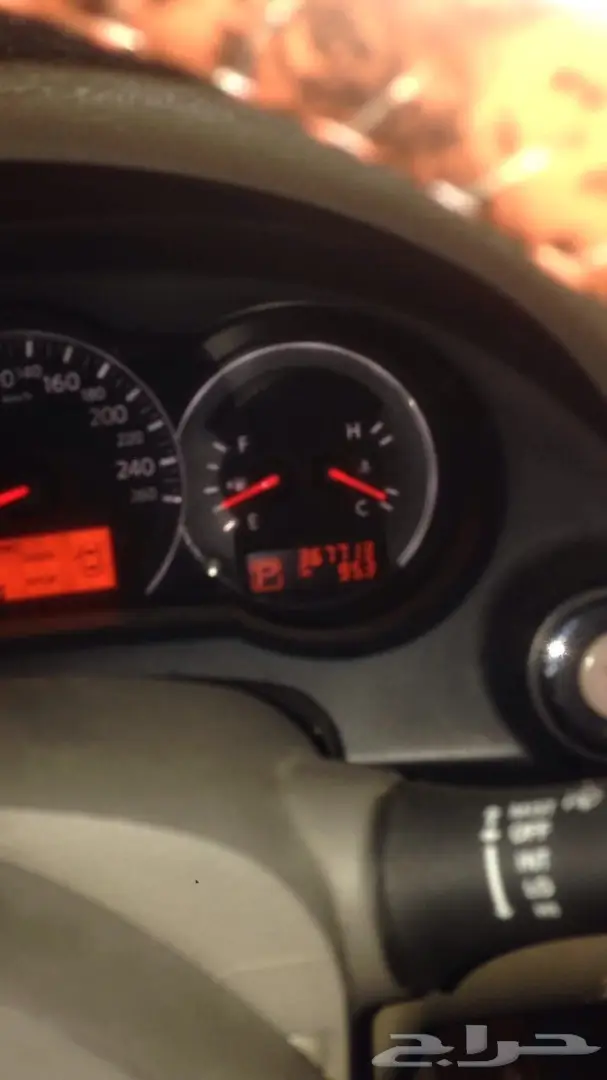 التيما 2010 (image 3)