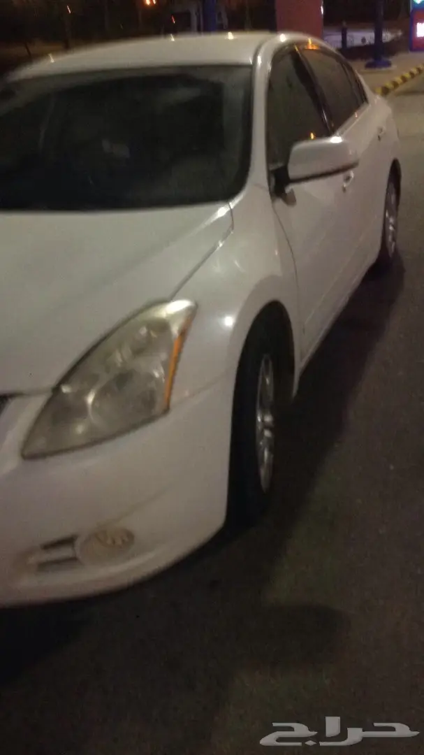 التيما 2010 (image 4)