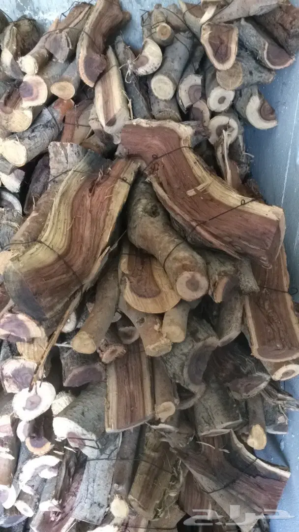 ح ط ب سمر المدينه حزم  شلايخ ومبروم  (image 5)