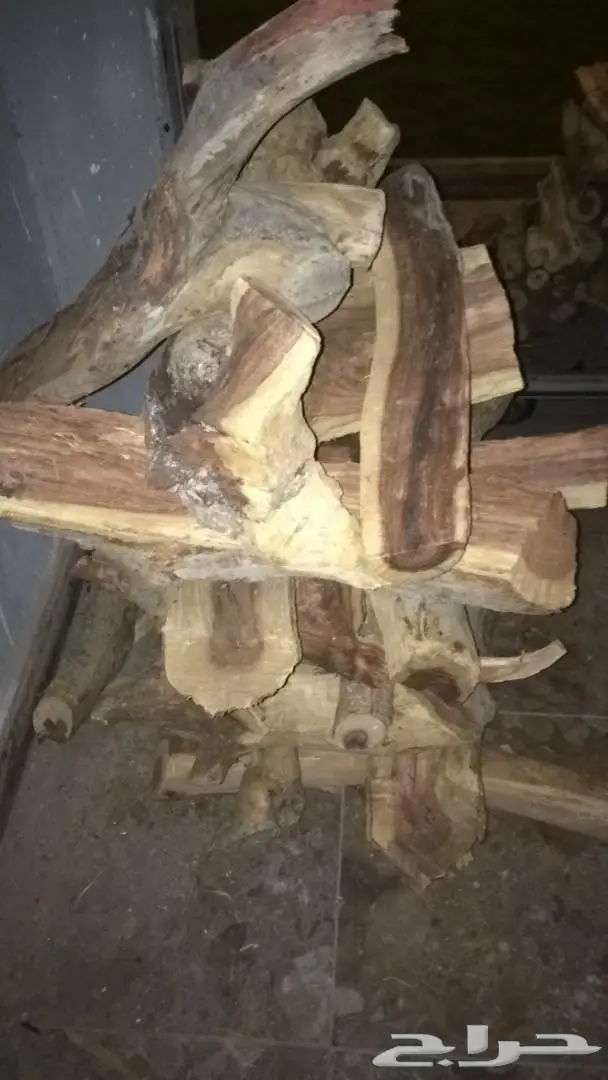 ح ط ب سمر المدينه حزم  شلايخ ومبروم  (image 7)