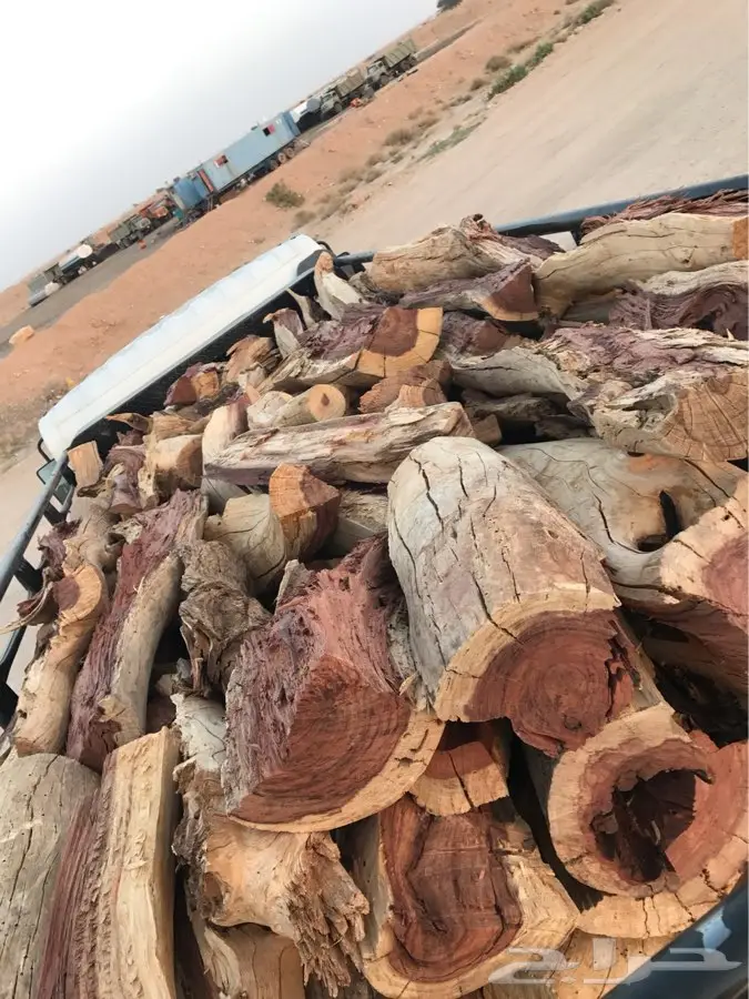 حوطة سدير (image 7)