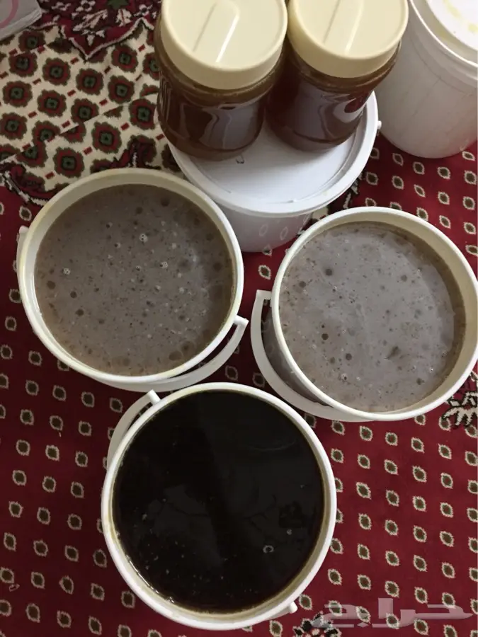 عسل سدر طبيعي أصيل وشمع قطاف جديد - من تهامة عسير! (image 8)