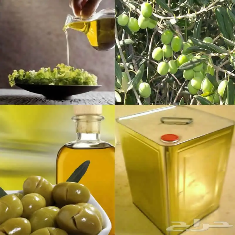 زيت زيتون بلدي من ارض فلسطين