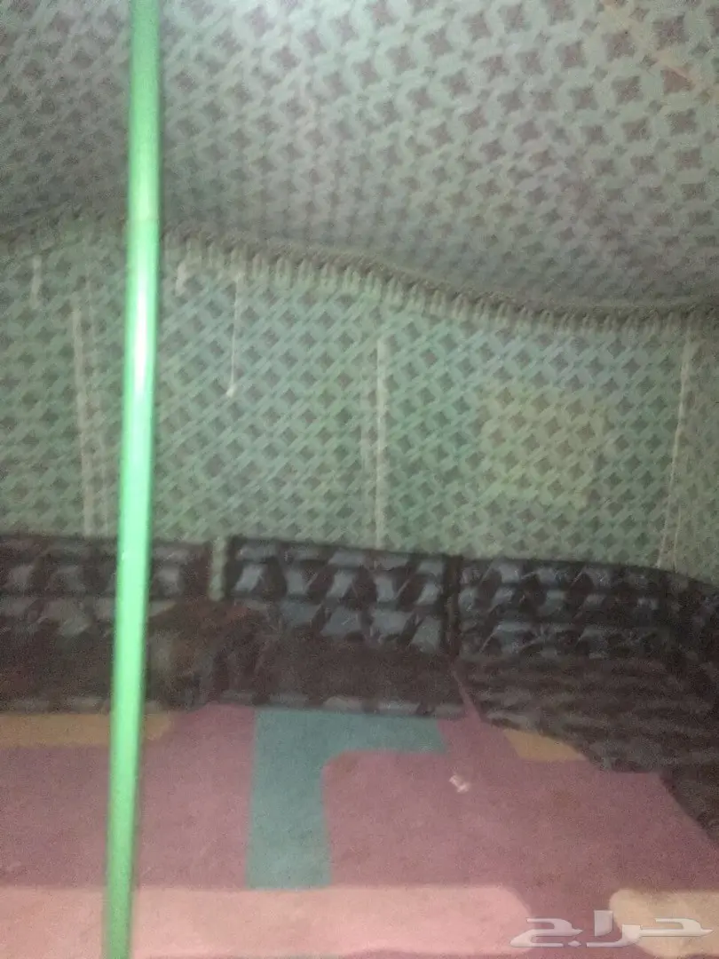 خيمه عامود غاطين الون ابيض وحالتها جيده  (image 1)