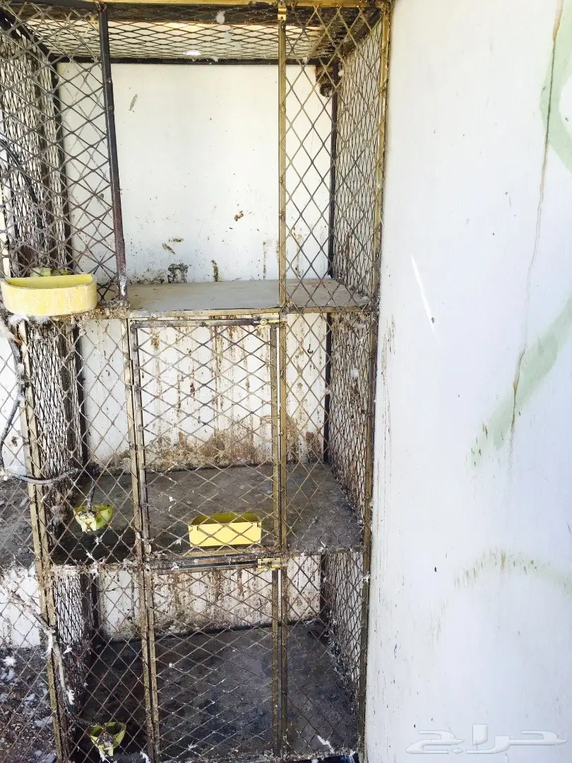 عشة  حمام ومحاكر  (image 2)