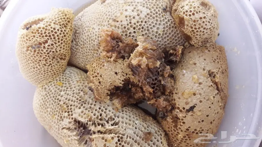 عسل جبلي طازج اليوم 2 كيلو وربع  (image 2)