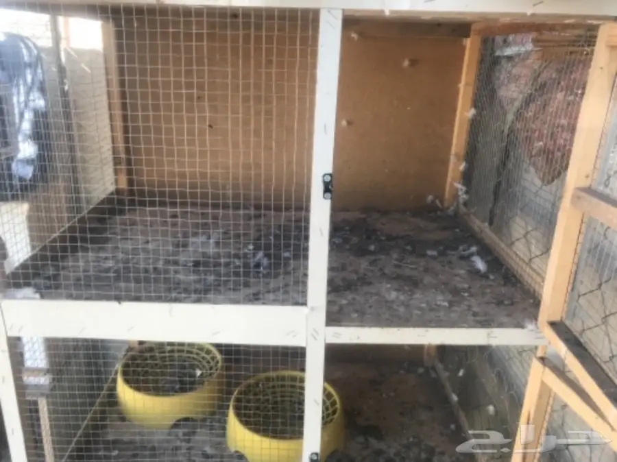 محاكر وأبراج 