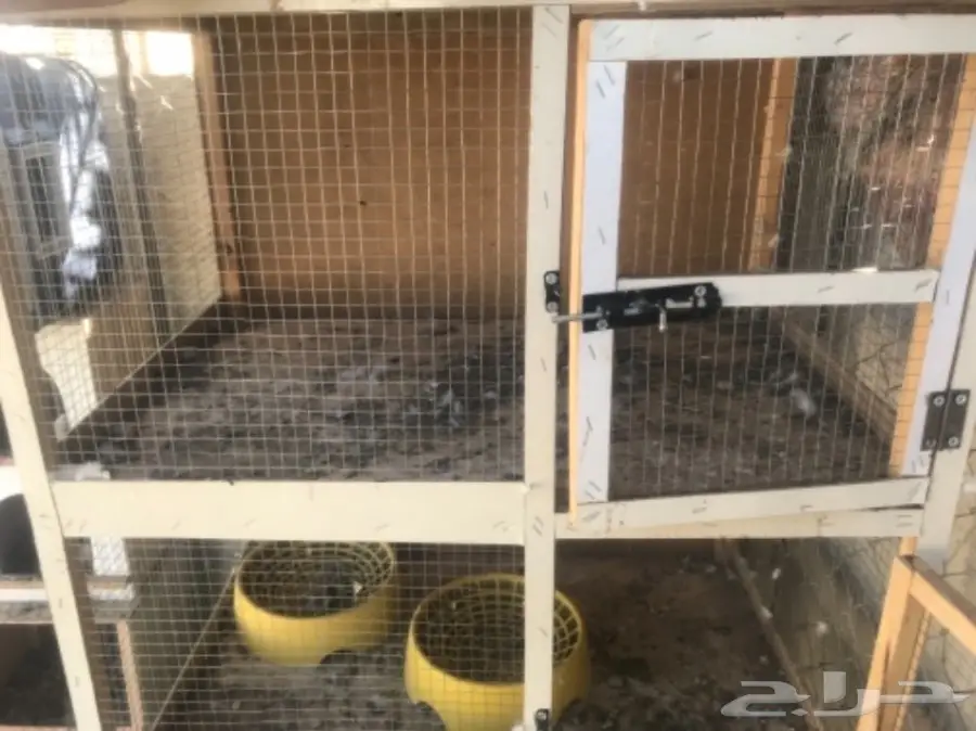 محاكر وأبراج  (image 4)