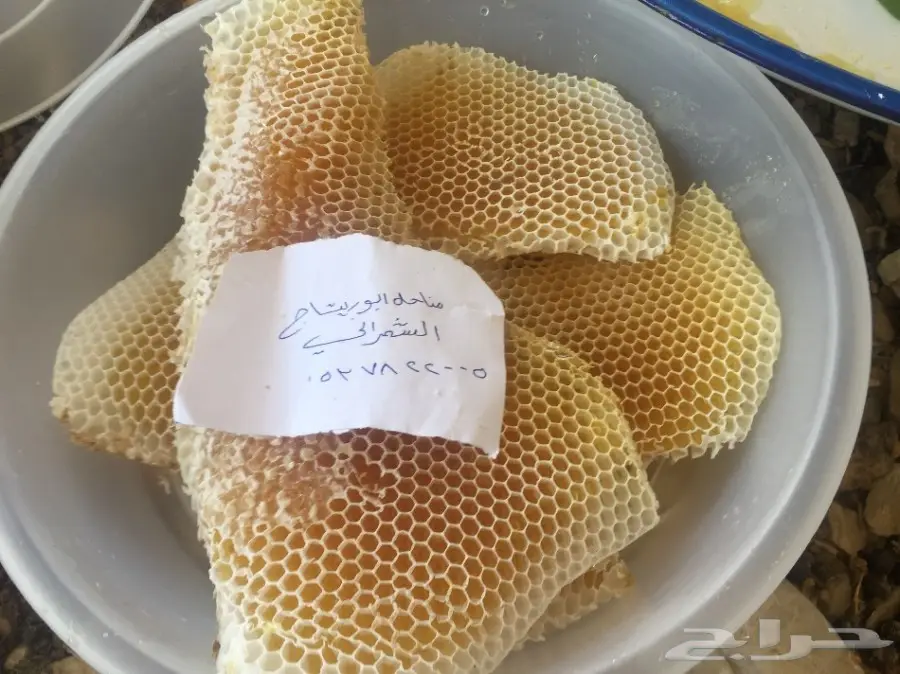 عسل سدر عسل سمر عسل طلح مفحوص مخبريا (image 19)