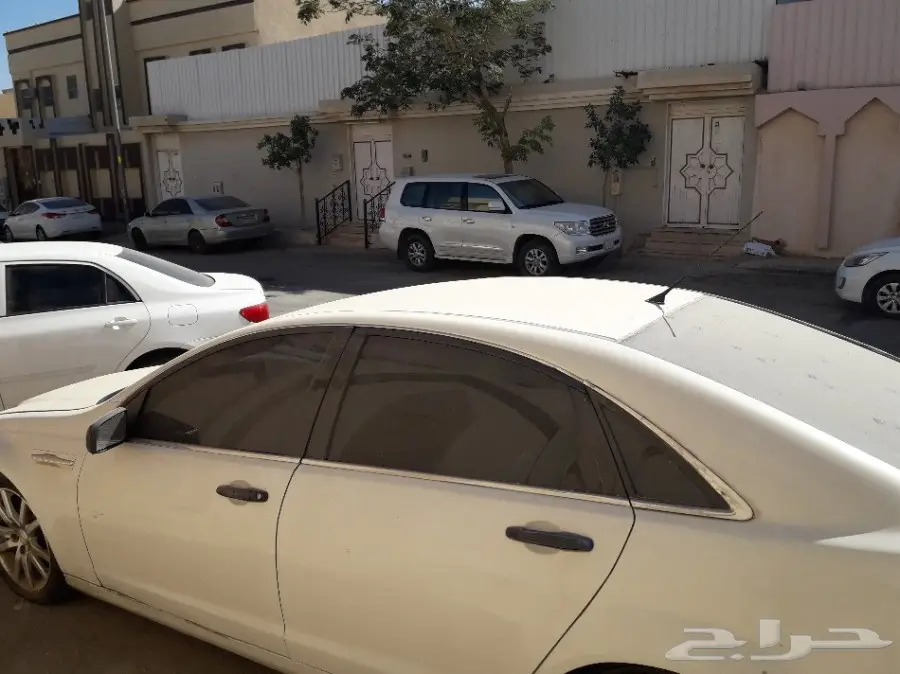 كابرس 2013 (image 2)