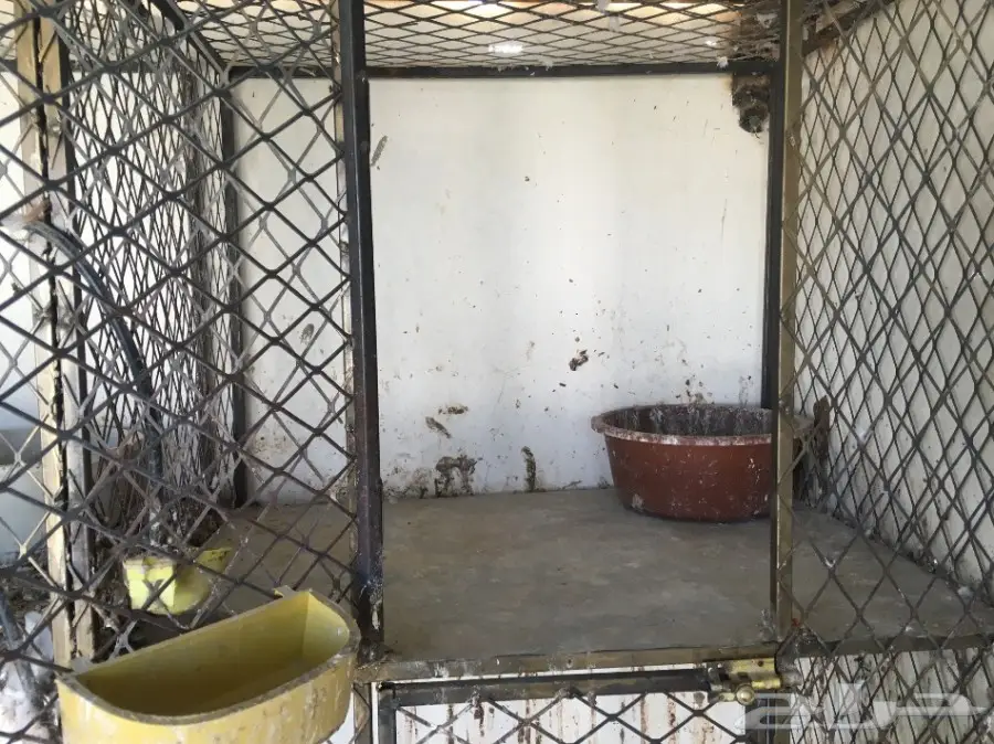 عشة  حمام ومحاكر  (image 3)