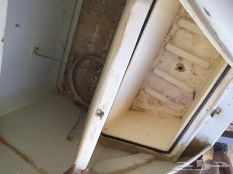 قلص للبيع (image 5)