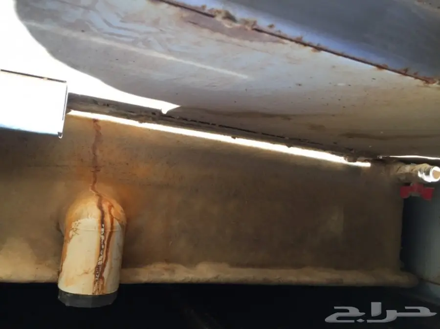 قلص للبيع (image 10)