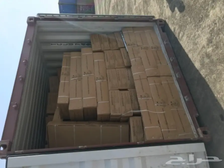 نطيطة ترامبواليين  (image 5)