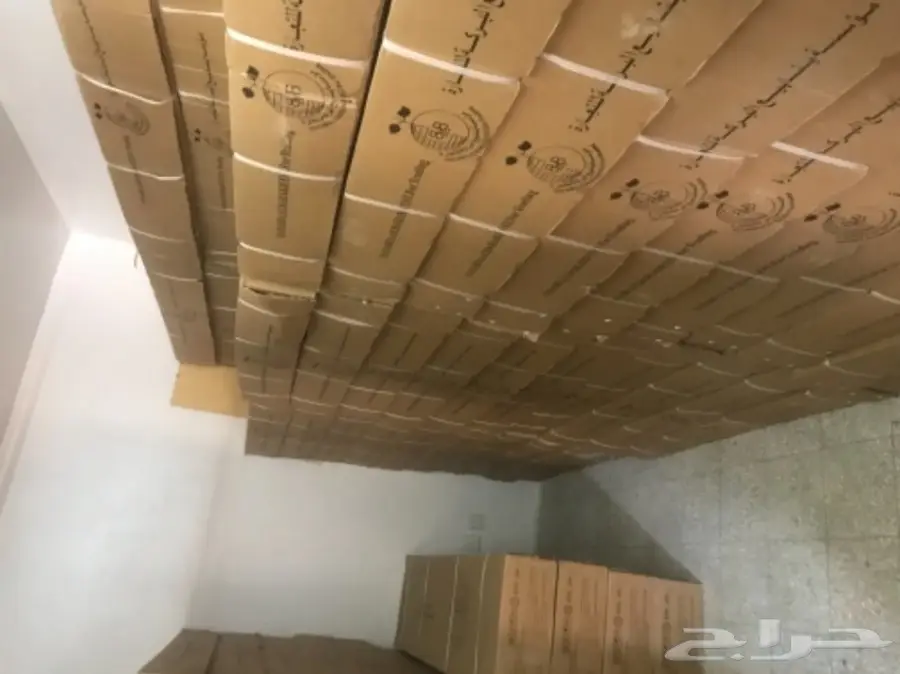 نطيطة ترامبواليين  (image 6)