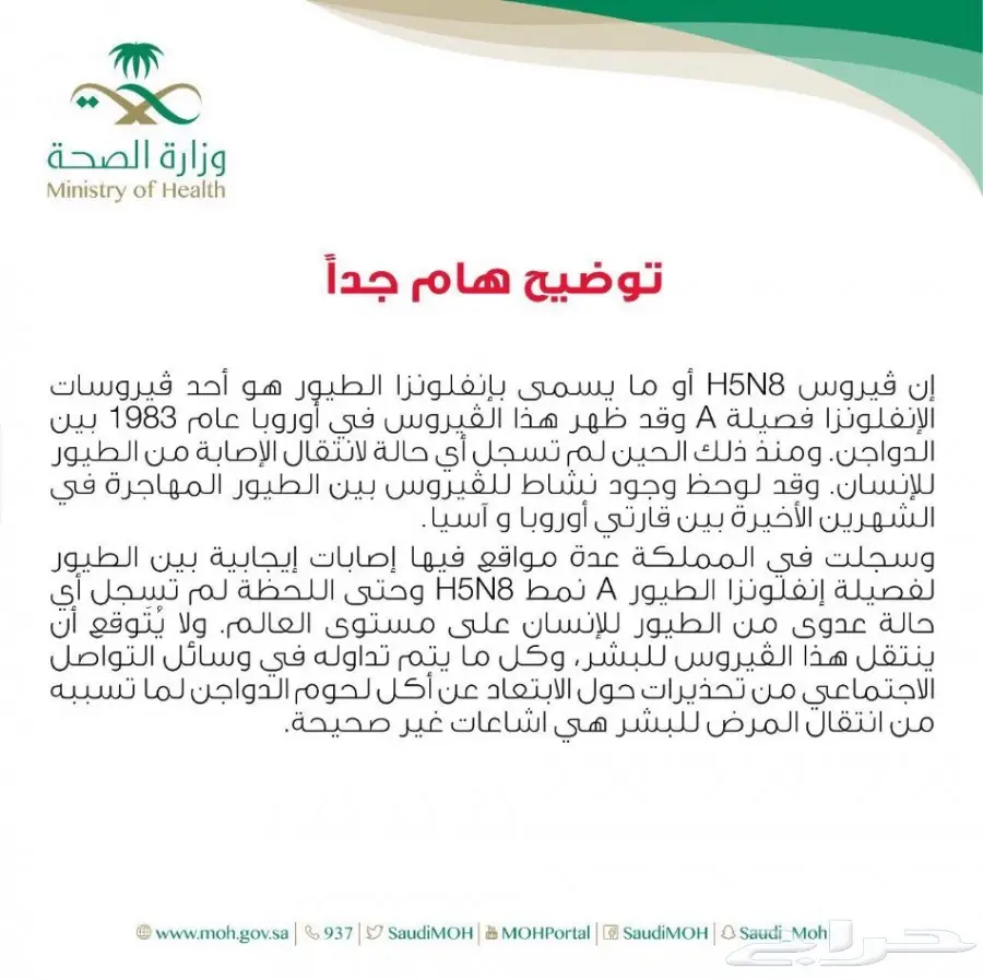 فراخة حمام زاجل (image 1)