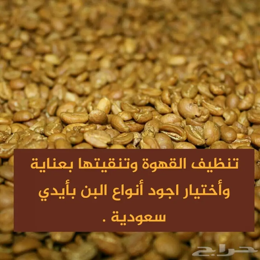القهوة البيشية ( خولاني درجة اولى ) (image 1)