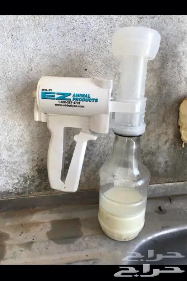 حلابه غنم وماعز