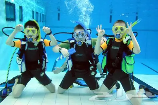 شهادات غوص معتمدة لخدمة الدفاع - فرصة ذهبية! (image 3)