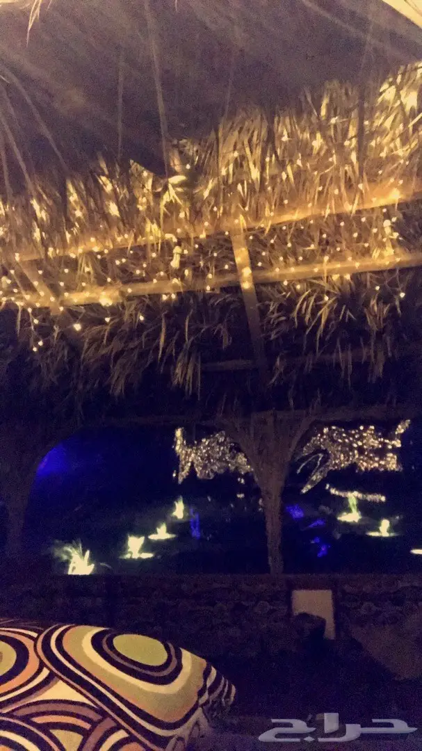 مخيمات روز  (image 4)