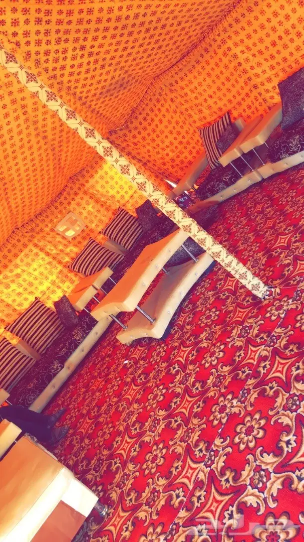 مخيمات روز  (image 5)