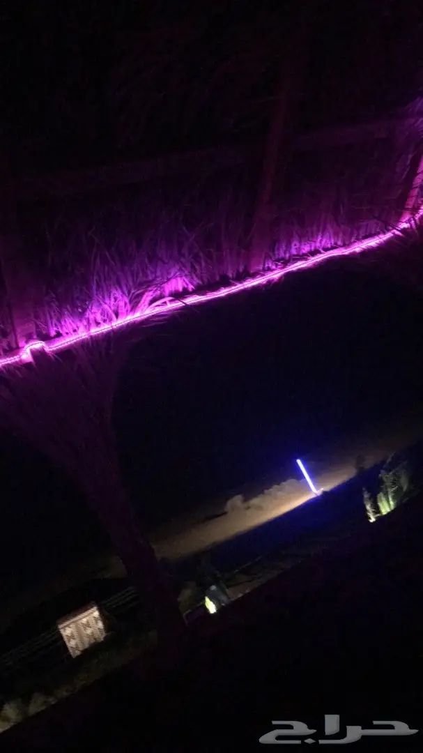 مخيمات روز  (image 10)