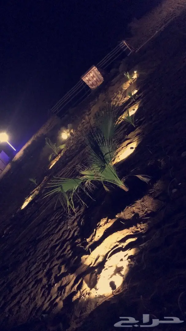 مخيمات روز  (image 13)