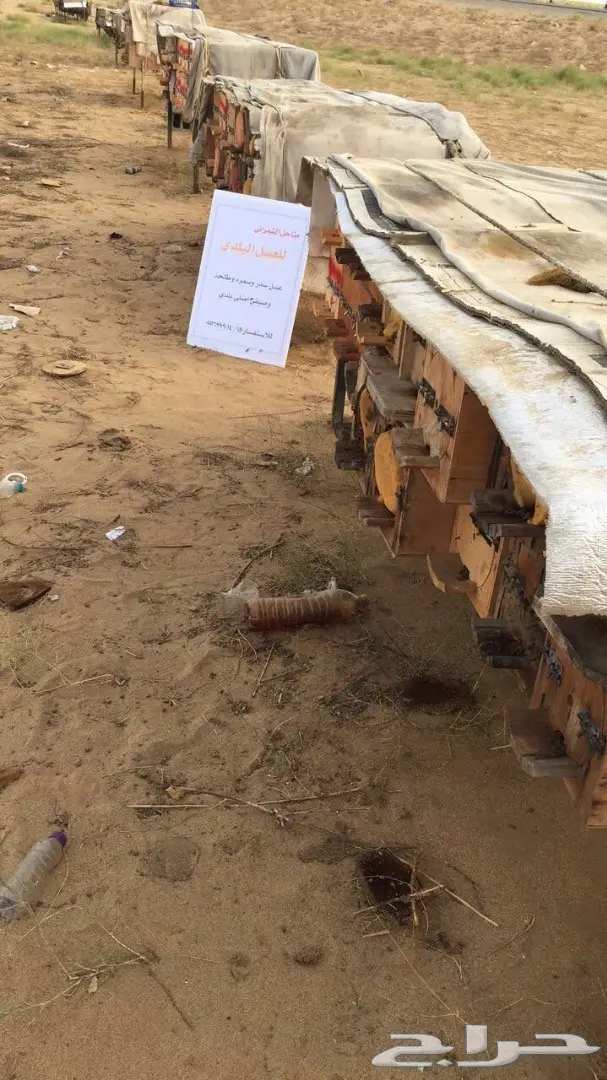 عسل سدر مضمون على المختبر 10الاف اذا مغشوش  (image 11)