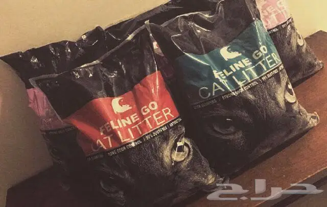 الأحساء للبيع ملتزمات للقطط