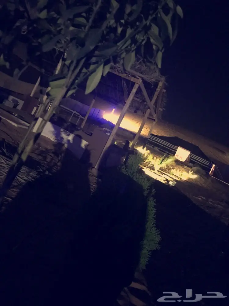 مخيمات روز  (image 12)