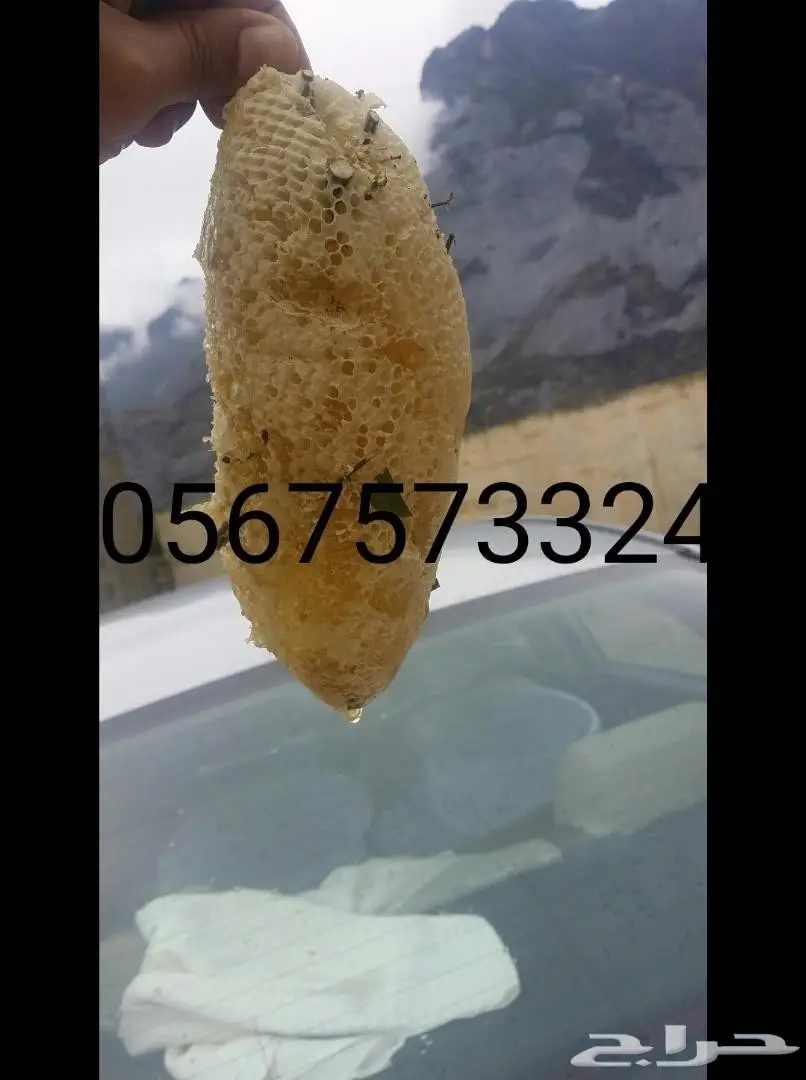 عسل حر جبلي جنوة جديدة اراء العملاء إيجابية  (image 2)