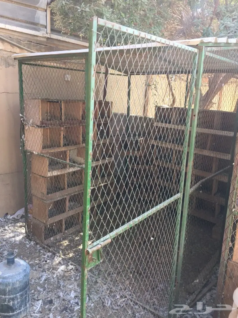 شبك بقلاوة للبيع (image 8)