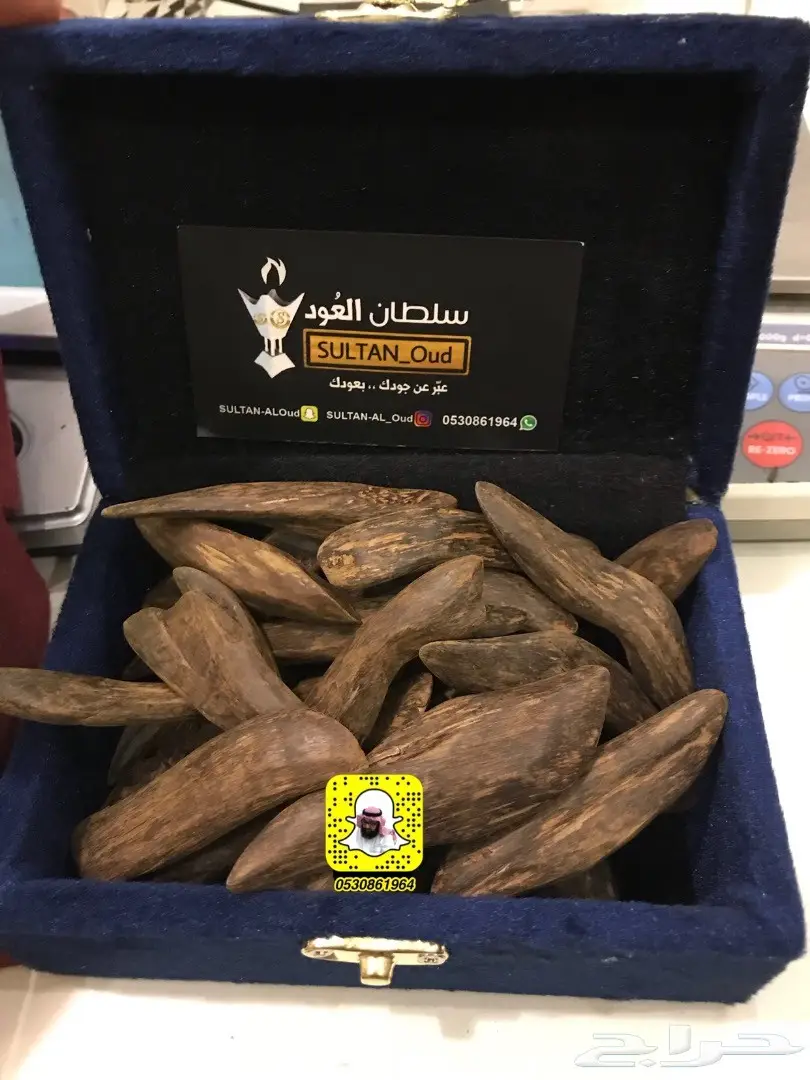 مزاد لمدة ساعتين على ثمن عودمروكي 4وقيات ونص 