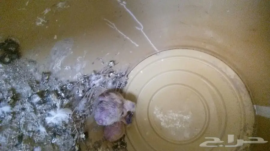 حمام مشكل للبيع  (image 1)