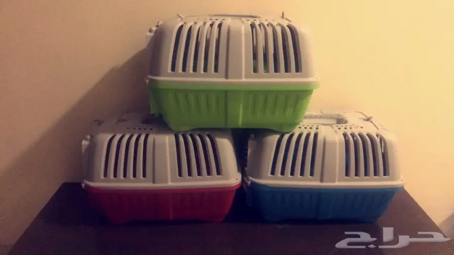 للبيع ملتزمات قطط (image 1)