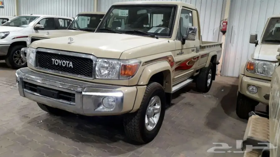 شاص 2017 فطيمي- رفرف