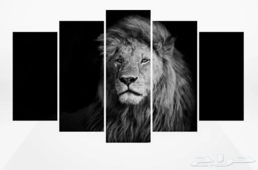 شريك لفكرة تطبيق