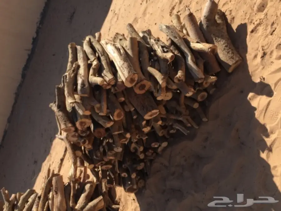 سمر طيب  (image 1)