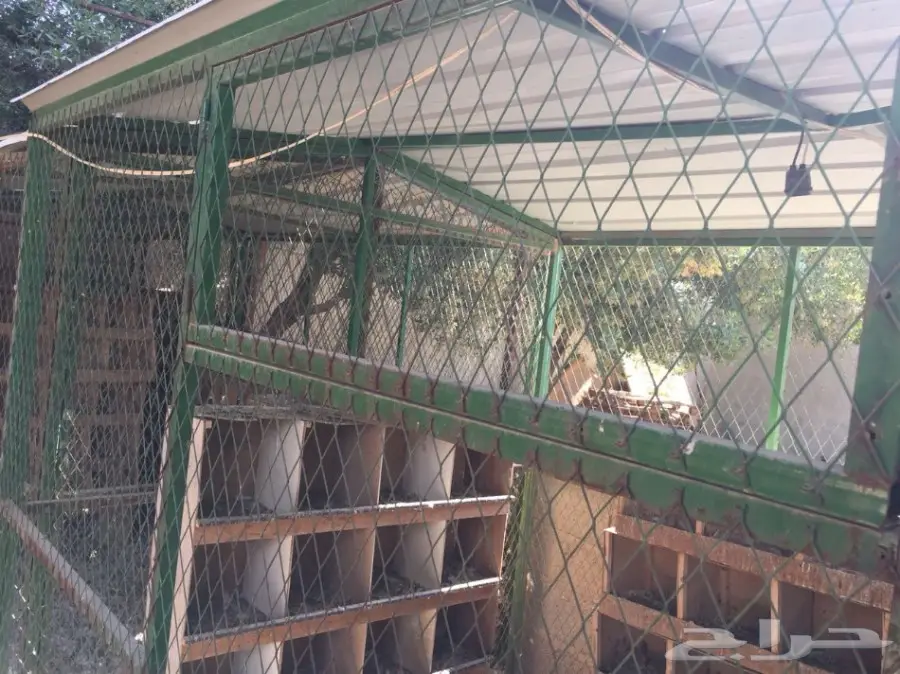 شبك بقلاوة للبيع (image 4)