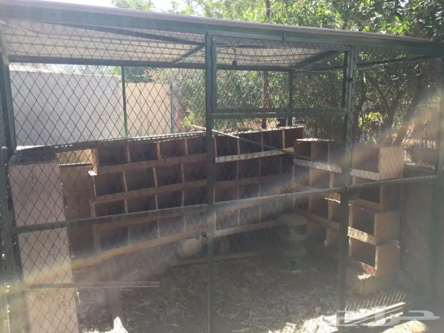 شبك بقلاوة للبيع (image 5)