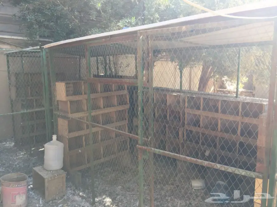 شبك بقلاوة للبيع (image 6)