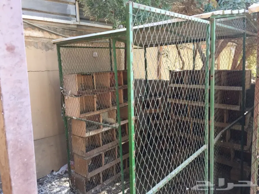 شبك بقلاوة للبيع (image 7)