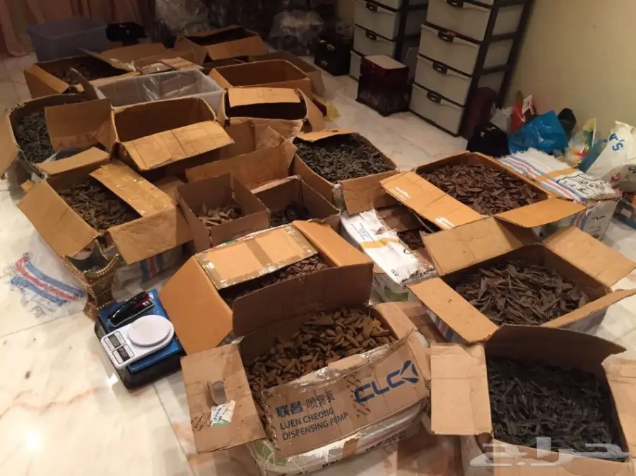 ربع كيلو عود ( تسع اوقيات ) 200 ريال (image 4)