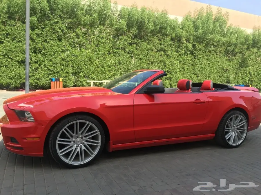 موستينج 2014 لون احمر  (image 5)