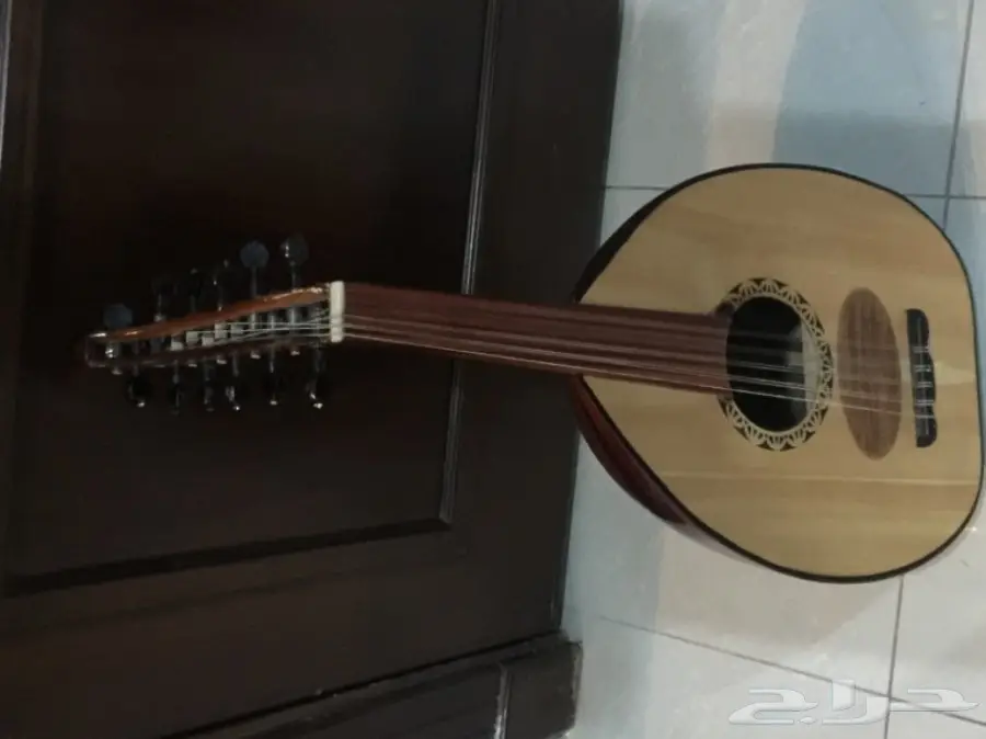 للبيع عود مصري 