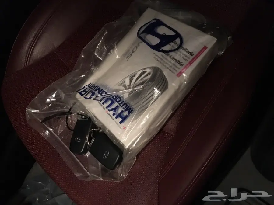 سوناتا 2014 فل الفل .. مخزن واستخدام شيوخ (image 23)