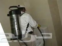شركة مكافحة حشرات صراصير نمل فئران برص وزغ    (image 3)