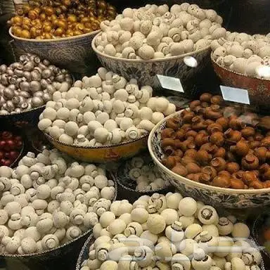 خدمات شحن من تركيا الى السعودية والخليج  (image 3)