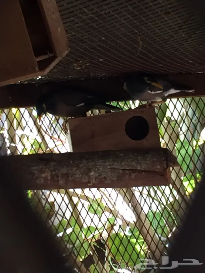 مينا للبيع (image 1)